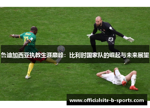 鲁迪加西亚执教生涯巅峰：比利时国家队的崛起与未来展望