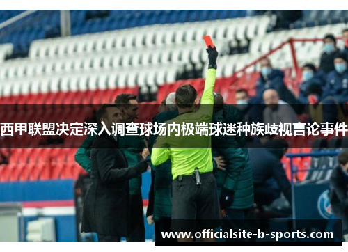 西甲联盟决定深入调查球场内极端球迷种族歧视言论事件 西甲联盟决定深入调查球场内极端球迷种族歧视言论事件