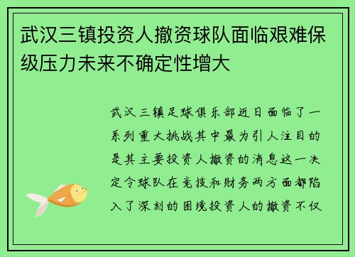 武汉三镇投资人撤资球队面临艰难保级压力未来不确定性增大 武汉三镇投资人撤资球队面临艰难保级压力未来不确定性增大