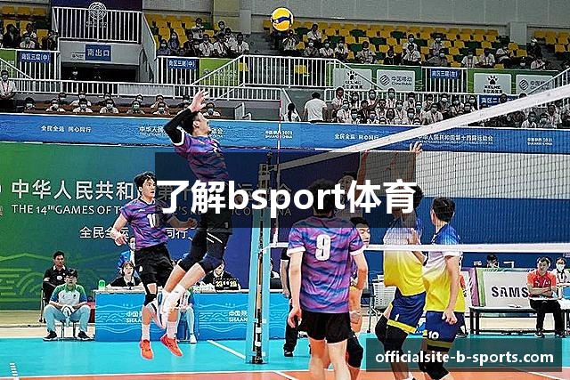 了解bsport体育